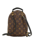 Mini Palm Springs Backpack, &pound;1,100, Handbags, Brown, Canvas, Back view